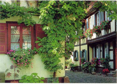 Gengenbach2