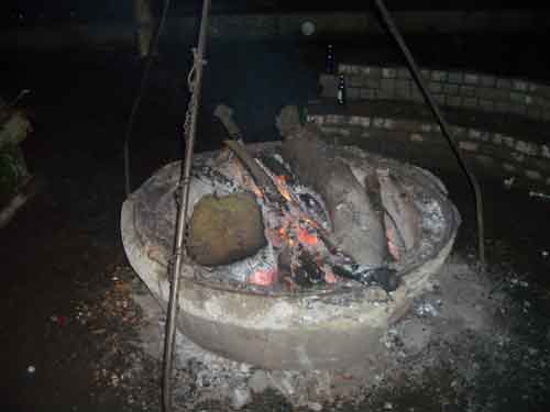 IMGP0560